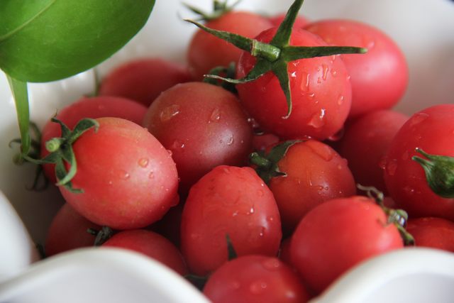 東莞市2023年9月份農(nóng)業(yè)生產(chǎn)資料零售價(jià)格監(jiān)測(cè)信息