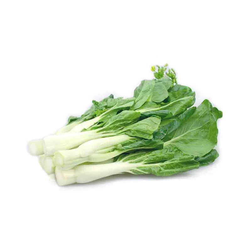 解鎖新鮮味道：邯鄲蔬菜配送中心的時尚蔬菜之旅！