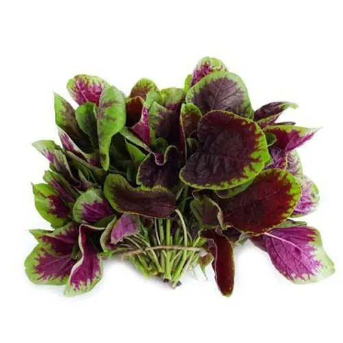 新鮮有機，極速配送！——蔬菜配送中心