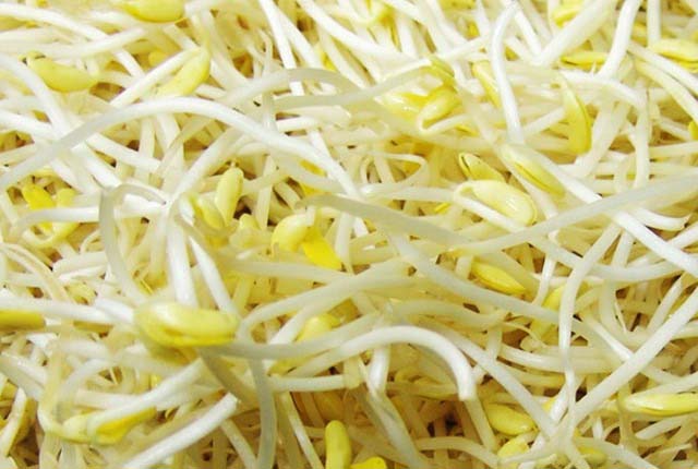 喜滿倉蔬菜配送