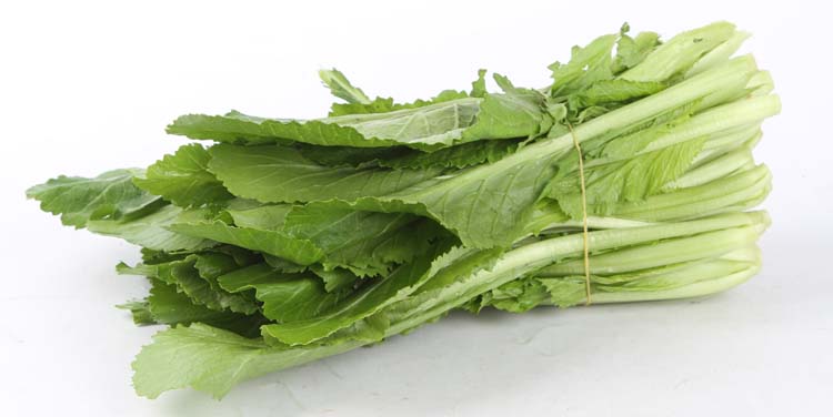 新鮮速遞，從田間到餐桌——您的專屬蔬菜配送服務(wù)