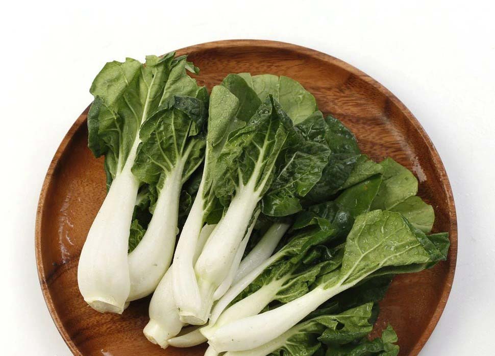 仁記蔬菜批發配送電話