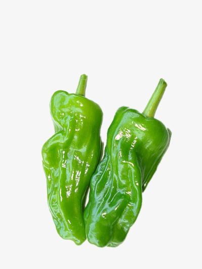 杜振蔬菜配送電話號碼