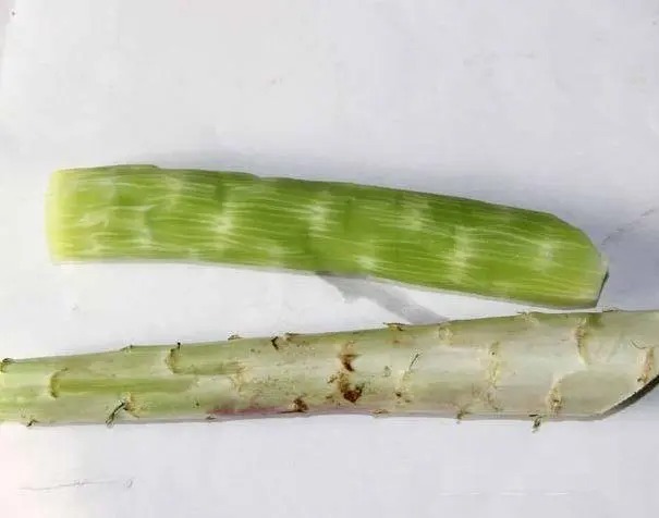 高州蔬菜配送司機電話多少