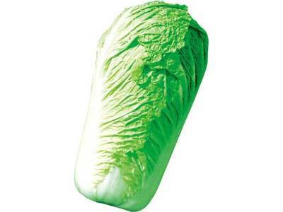 健康飲食新選擇：綠色蔬菜配送合同