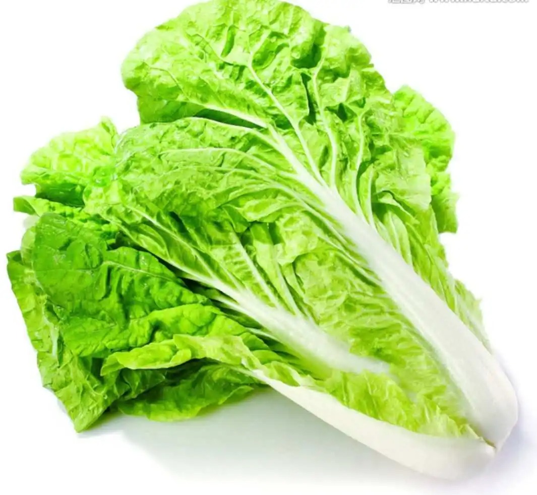 蔬菜配送價格表 2024-7-22