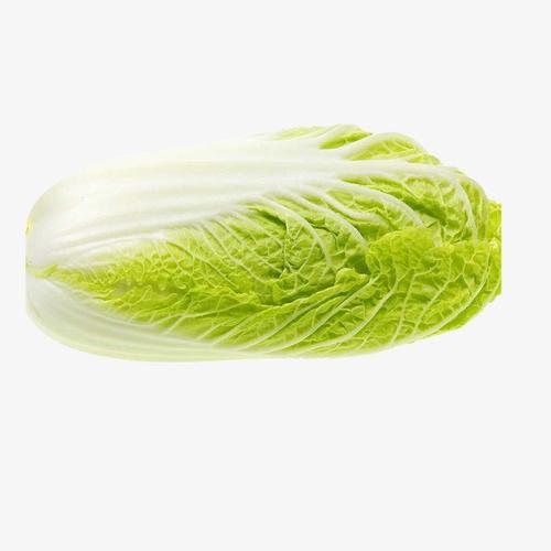 增城生鮮蔬菜配送報價表