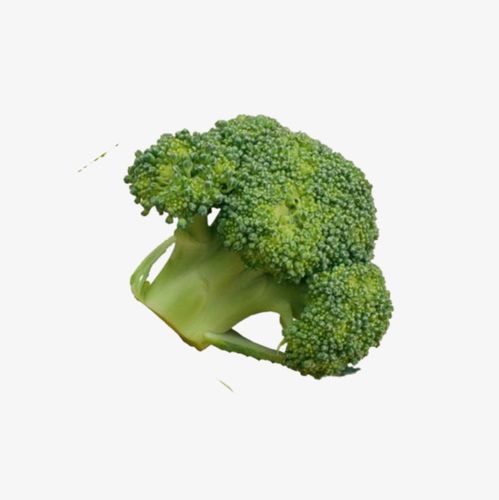 歸德蔬菜配送公司怎么樣