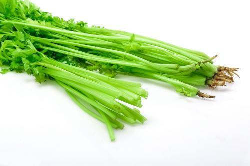 廊坊市疫情蔬菜配送情況