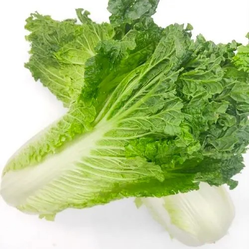 蔬菜包每日配送怎么做的