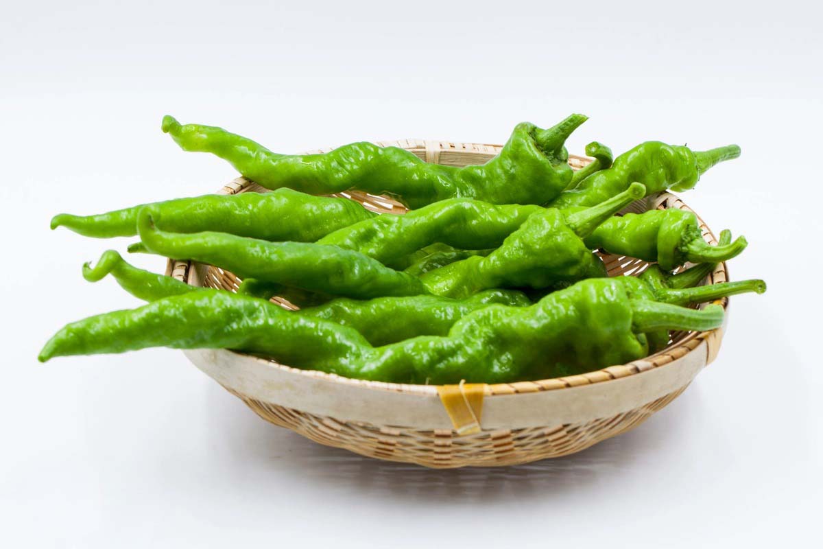 快速獲得新鮮蔬菜：批發配送服務