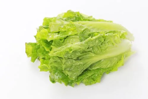 松崗蔬菜配送服務，新鮮美味直達您家！