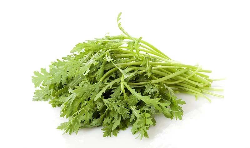 蔬菜配送價格表 2024-9-30