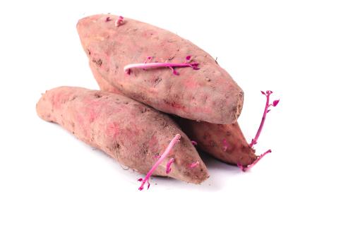 上海黃浦區蔬菜配送電話