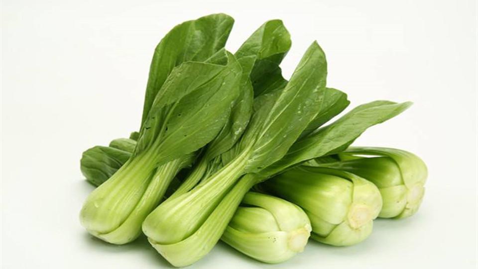 華東蔬菜配送團購怎么樣